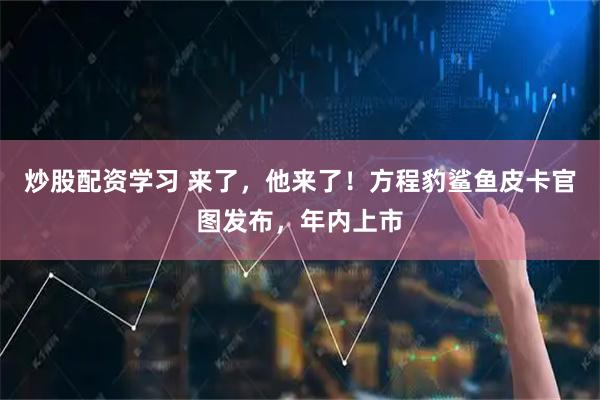 炒股配资学习 来了，他来了！方程豹鲨鱼皮卡官图发布，年内上市